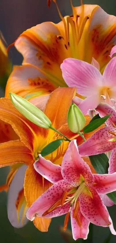 Vibrant mobile wallpaper with colorful lilies.