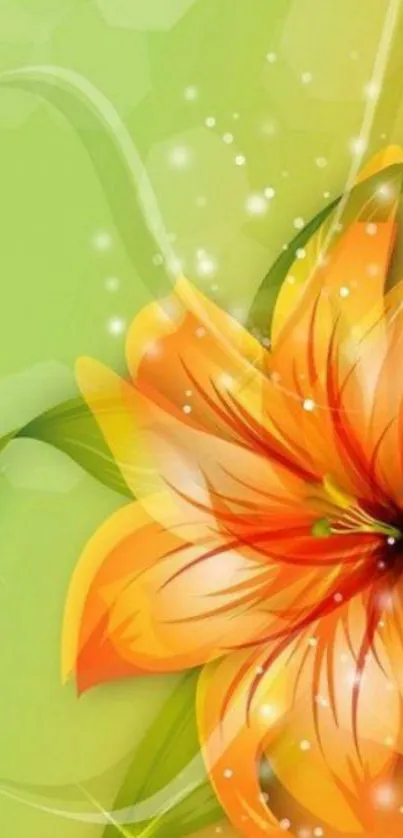 Vibrant orange lily on green background wallpaper.