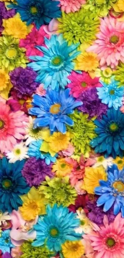 Colorful floral mobile wallpaper with diverse flowers.