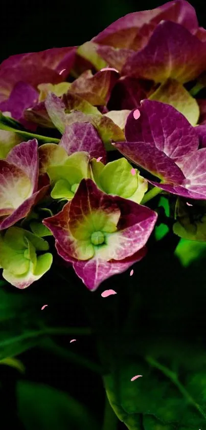 Vibrant purple and green floral wallpaper for mobile screen.