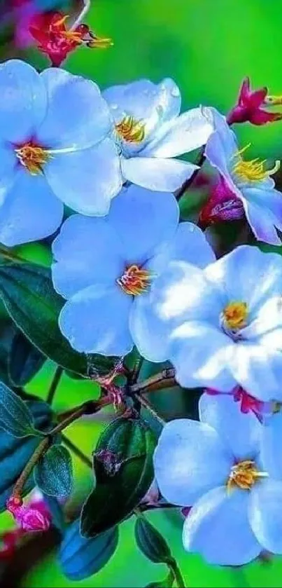 Vibrant white flowers with green leaves in a lush outdoor setting.