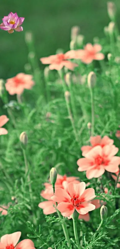 Mobile wallpaper with green foliage and pink flowers.