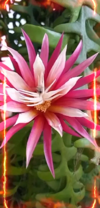 Vibrant pink flower with glowing effects on a lush green background.