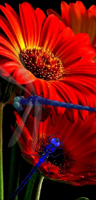 Bright red flowers with blue dragonflies on a mobile wallpaper.