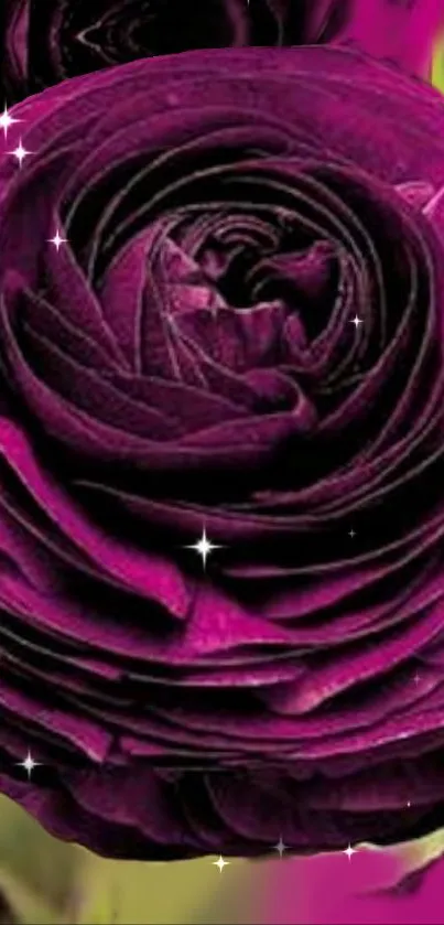 Deep purple rose mobile wallpaper with sparkling accents.