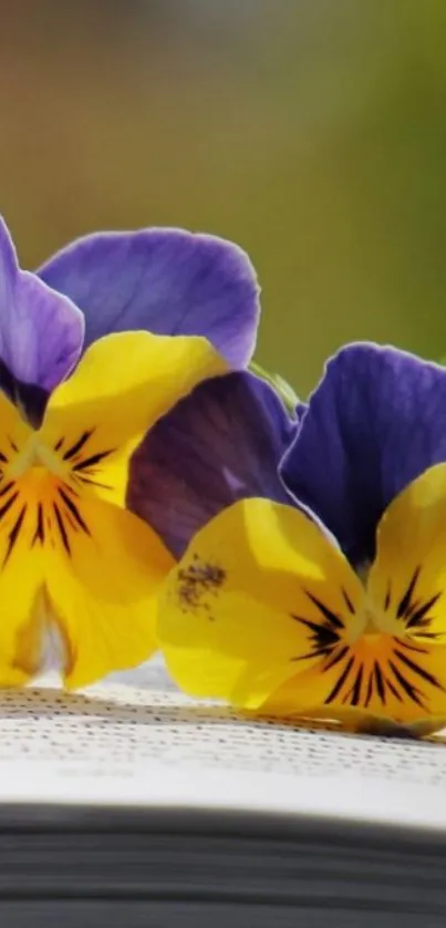 Vibrant wallpaper with purple and yellow pansy flowers on an open book.