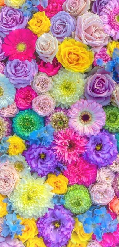 Vibrant mobile wallpaper with colorful flowers.