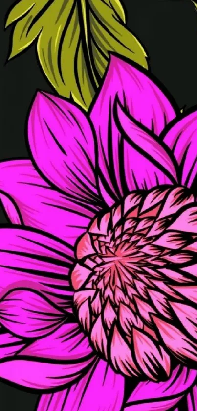 Vibrant pink flower on dark background wallpaper.