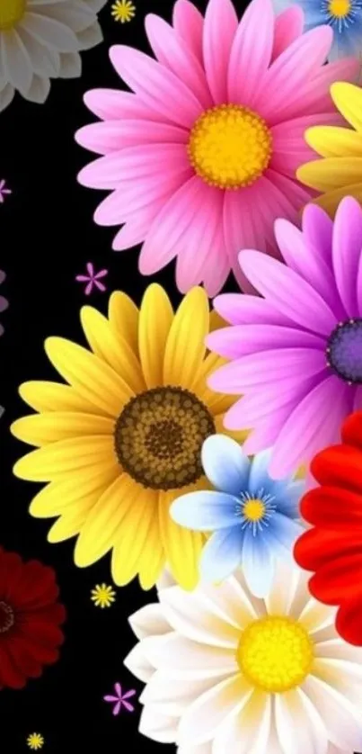 Colorful daisy flowers on black background mobile wallpaper.