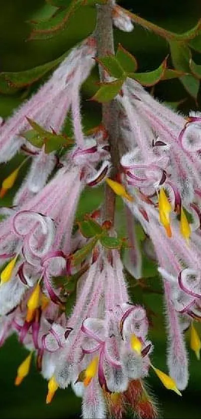 Delicate pink and yellow flowers on a lush green background.