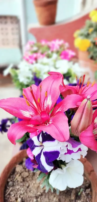 Vibrant pink lilies in bloom with colorful background flowers.