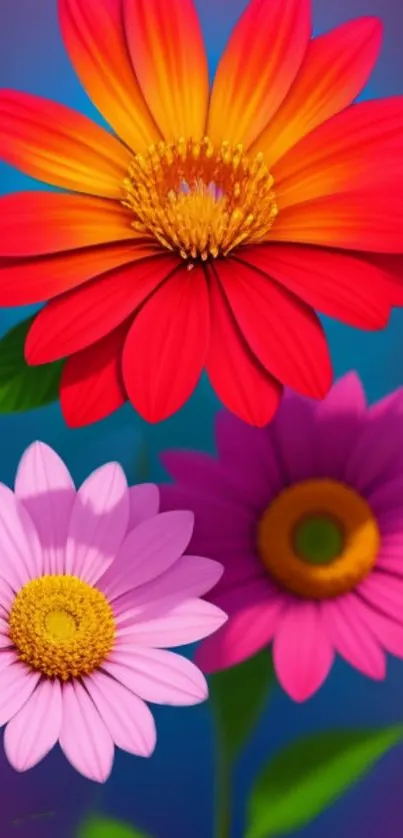 Bright floral wallpaper with colorful daisies and a gradient background.