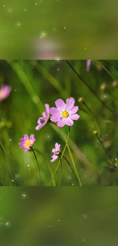 Mobile wallpaper of pink flowers against a lush green background.