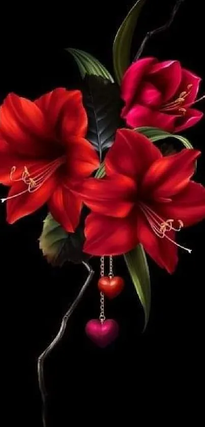 Vibrant red and pink flowers on black background wallpaper.