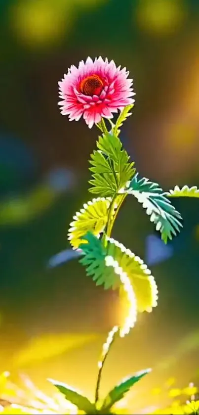 Pink flower with green leaves against a blurred natural background.