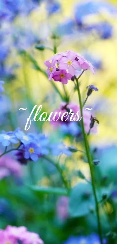 Colorful flowers in a vibrant garden wallpaper