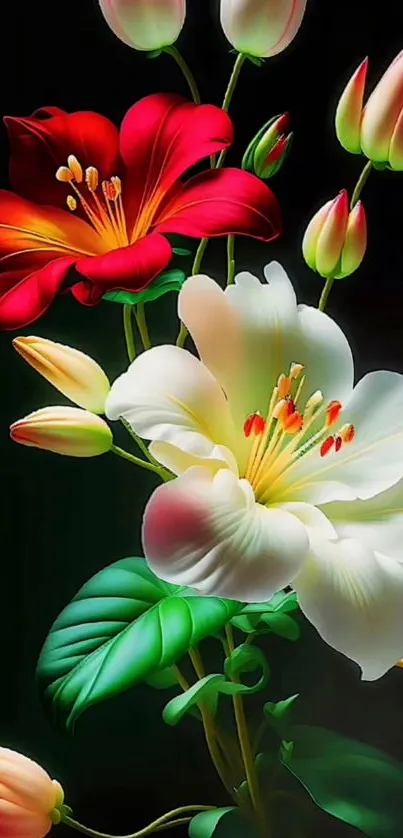 Mobile wallpaper featuring vibrant red and white flowers.