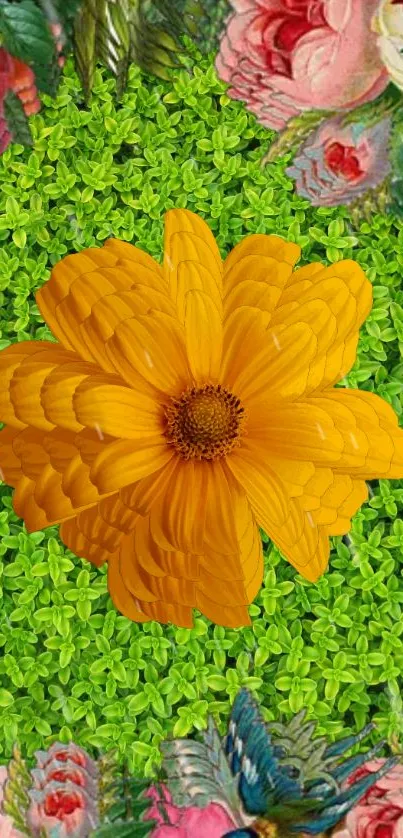 Vibrant wallpaper with orange flower and green backdrop.