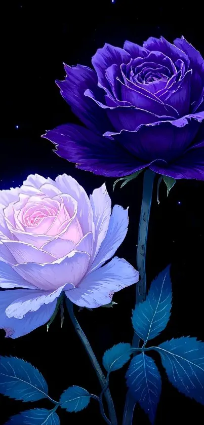 Purple and pink roses on a vibrant mobile wallpaper.