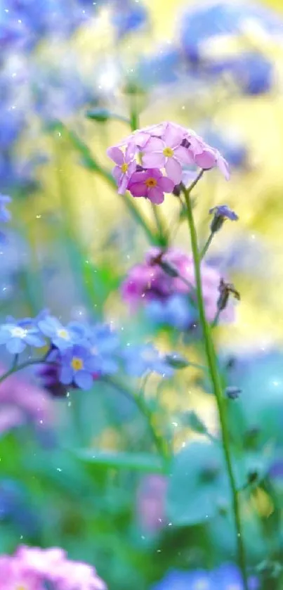 Vibrant floral wallpaper with pink and blue flowers, creating a refreshing nature theme.