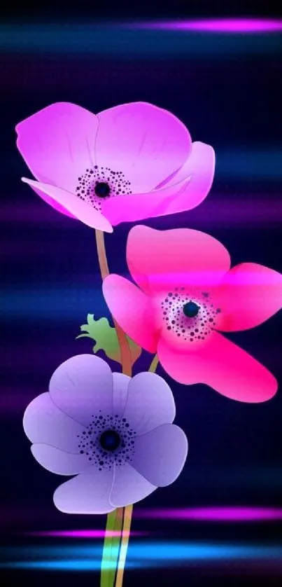 Vibrant flowers on a black background mobile wallpaper featuring purple, pink, and red hues.