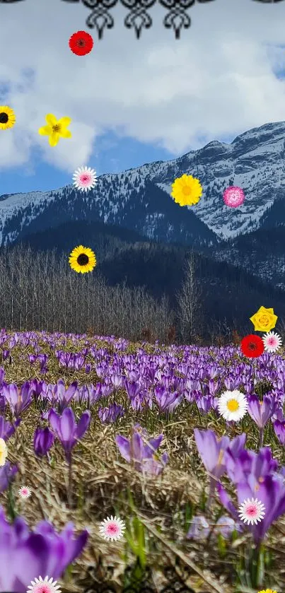 Purple flower field with vibrant mountain view.