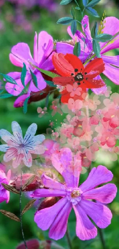 Close-up of vibrant pink and red flowers with a green leafy background.