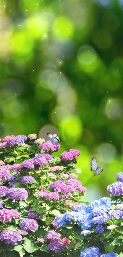 Floral wallpaper with hydrangeas and butterflies against a lush green background.