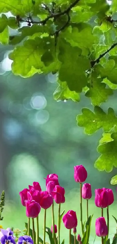 A vibrant nature wallpaper with pink tulips and green leaves.