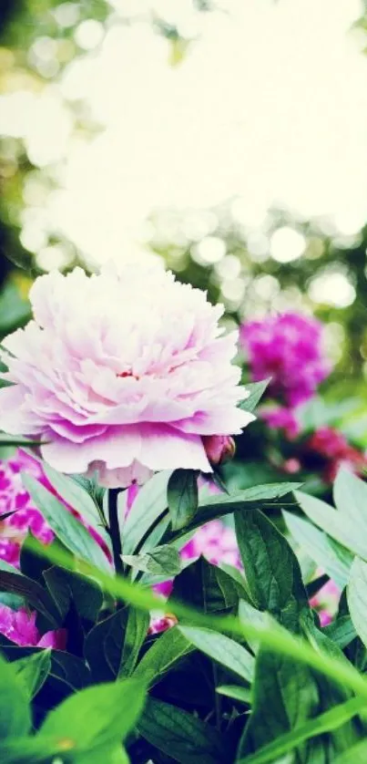 Lush green leaves with a pink flower bloom, perfect for phone wallpaper.