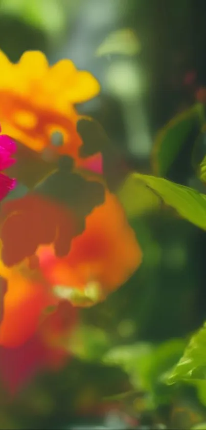 Vibrant floral wallpaper with green leaves and colorful flowers.