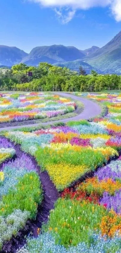 Vibrant floral path with mountain backdrop and clear sky.