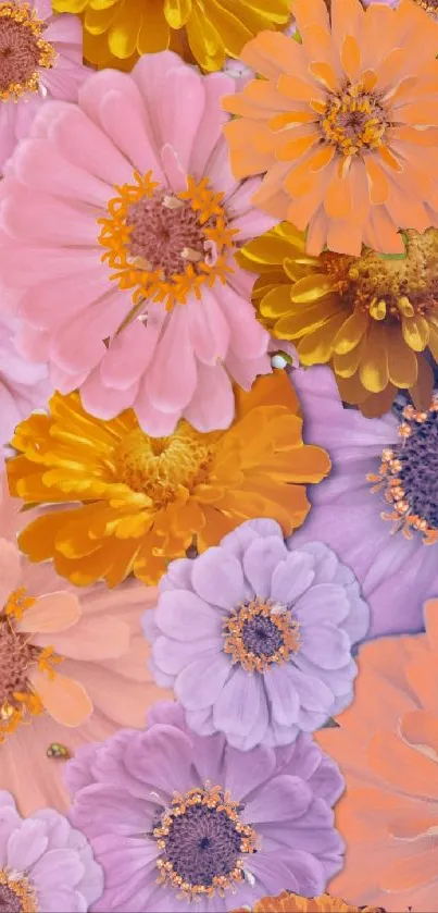 Vibrant floral wallpaper with pink, orange, and yellow flowers.