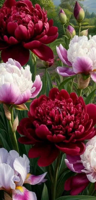 Vibrant floral wallpaper with red peonies.