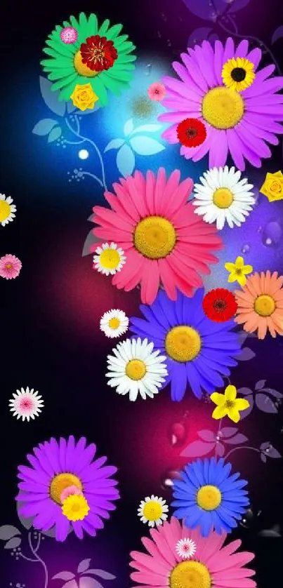 Vibrant floral wallpaper with colorful daisies on a dark background.