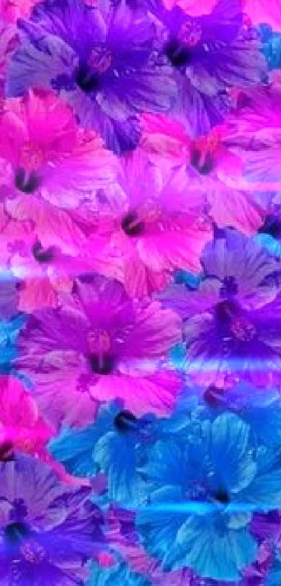 Vibrant floral wallpaper with pink, purple, and blue hibiscus flowers.