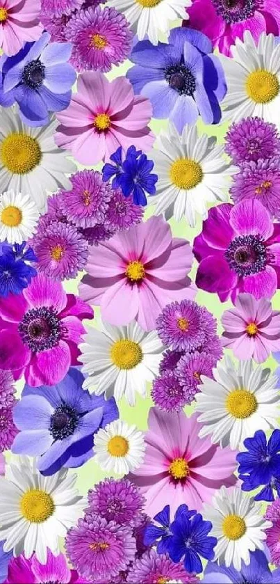 Colorful floral wallpaper with pink, purple, and white flowers for mobile phones.