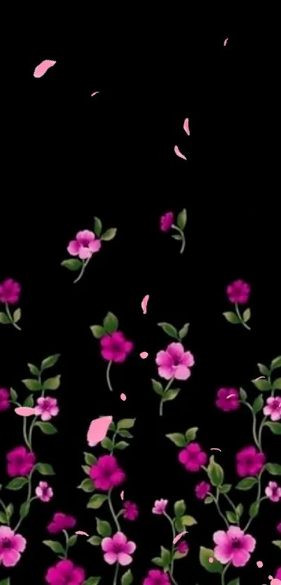 Mobile wallpaper with vibrant pink flowers on a black background.