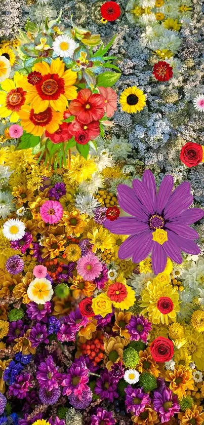 Vibrant floral wallpaper with diverse colorful blooms.