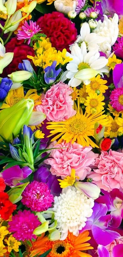 Vibrant and colorful floral wallpaper with diverse blooming flowers.