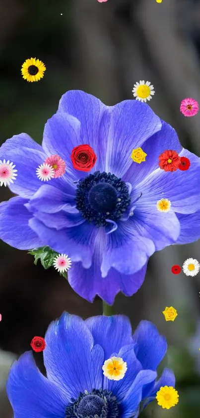 Blue anemone with colorful wildflowers on phone wallpaper.