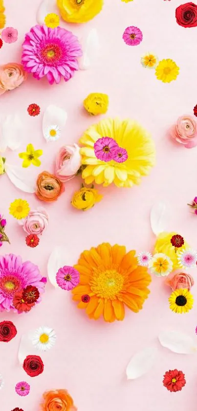 Vibrant floral phone wallpaper with a pink background.