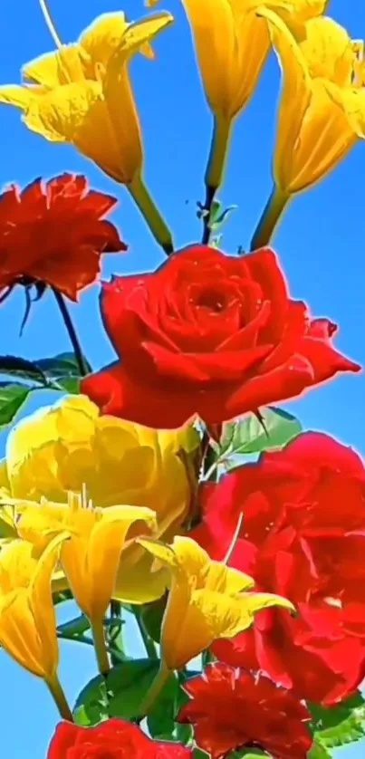 Vibrant red and yellow flowers against a blue sky background.