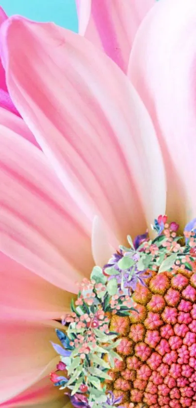 Close-up of a pink daisy with vibrant petals.