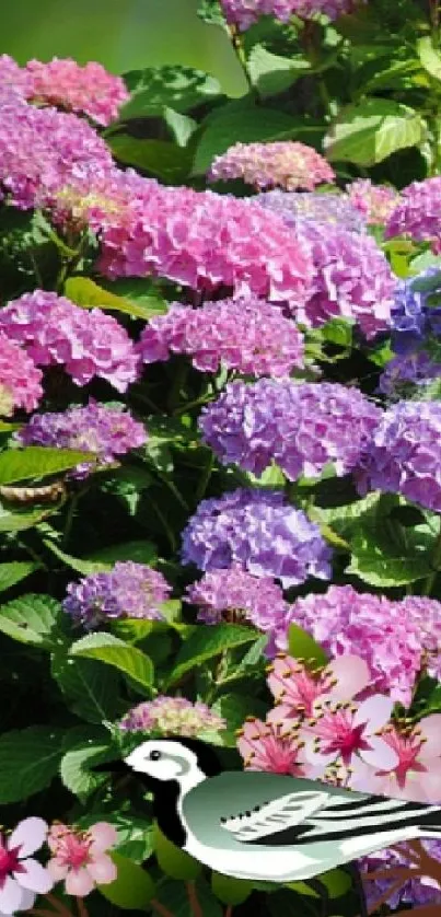 Colorful hydrangeas and a bird in a vibrant floral phone wallpaper.