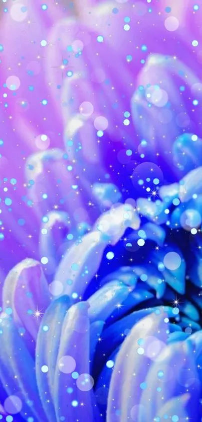 Vibrant purple and blue flower wallpaper with bokeh lights.