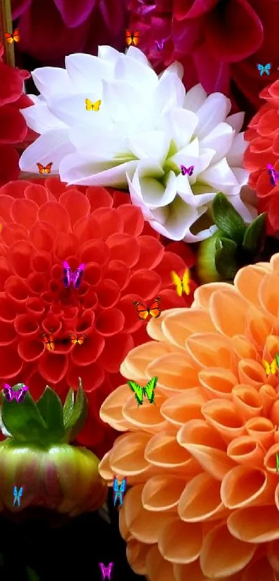 Vibrant orange and red floral wallpaper for mobile screens.