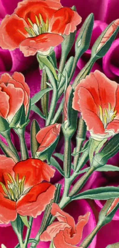 Vibrant red flowers on magenta background phone wallpaper.