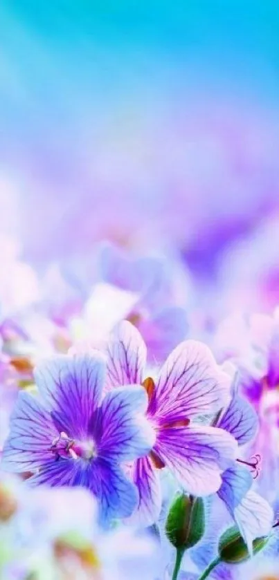 Purple floral wallpaper with soft focus background.