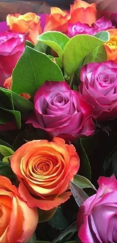 Colorful bouquet of orange and purple roses.